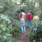 Banda SeiNão