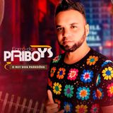 FORRO DOS PIRIBOYS O REI DOS PAREDÕES