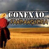 Conexão Fandangueira