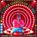 Fabinho Bregadeira Na Voz