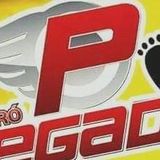 FORRÓ DA PEGADA