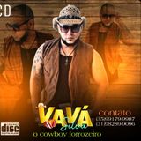 Vava Silva O Cowboy Forrozeiro