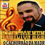 Cachorrão Da Madrugada