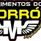 Movimentos do Forró #renovado