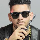 MC LR