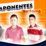 Os Componentes do forró
