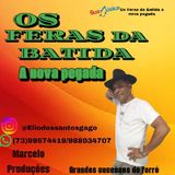 Os Feras Da Batida