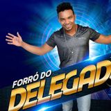FORRÓ DO DELEGADO