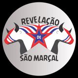 Boi Revelação de São Marçal