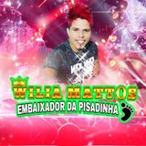 WILIA MATTOS