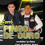 Forró Pingo De Ouro