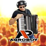 Agroboy do Piseiro