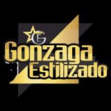 Forró Gonzaga Estilizado