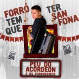 Peu do Acordeon e Os Forrozeiros