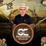 Banda Gibão de Couro