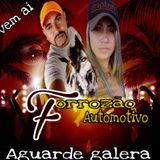 FORROZÃO AUTOMOTIVO