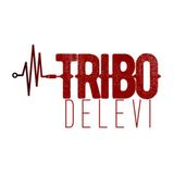 Tribo de Levi