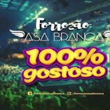 Forrozão Asa Branca