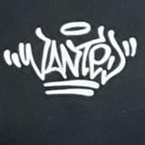 Os Sintéticos
