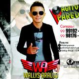 Wallys Araújo - O Agito do Paredão