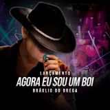 Braulio do Brega