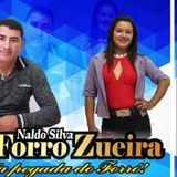 Naldo Silva & Forró Zueira