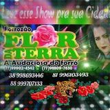 Sirlene Amorim Forrozao Flor da Terra