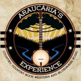 Araucária's Experience