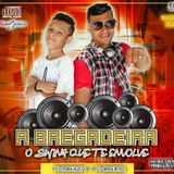 A BREGADEIRA