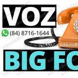 Voz do Big Fone Online Big Boss BBB