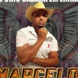 Marcelo Novais