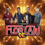 FLOR DE CAJU