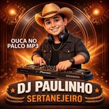 Paulinho Sertanejeiro