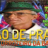 Mão de prata o forrózeíro da bahia