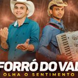 forró do val