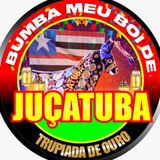 Boi de Juçatuba