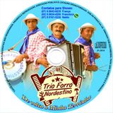Trio Forró Nordestino