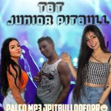 Jpitbull Do Forró