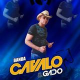 Banda Cavalo & Gado