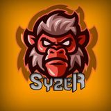 Syzer