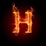 Holidaves