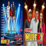 FORRÓ MULEKY DOIDO