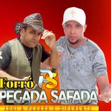 Forró Pegada Safada