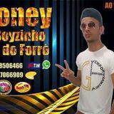 Roney dos teclados o boyzinho VL6