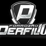 Forrozão Perfil 10