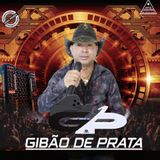 Gibão de prata