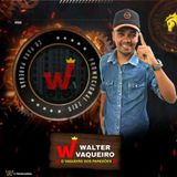 Walter vaqueiro