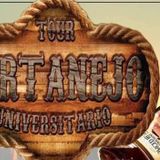 Sertanejo 2017