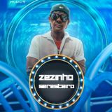 Zezinho Seresteiro Do Brega