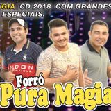 Forró Pura Magia